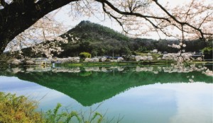 4月
